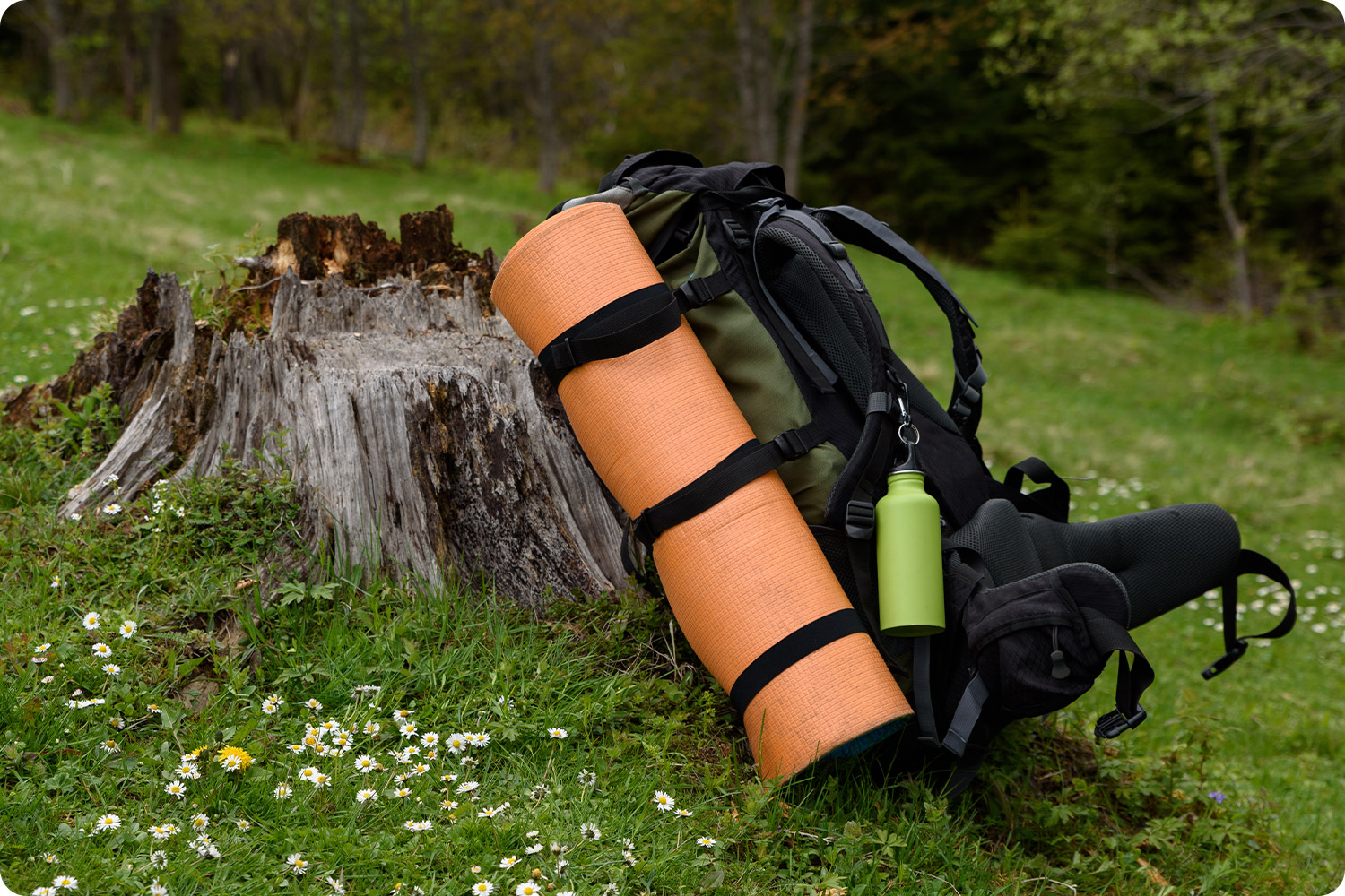 SPORTS AND OUTDOORS SPORTS AND OUTDOORS